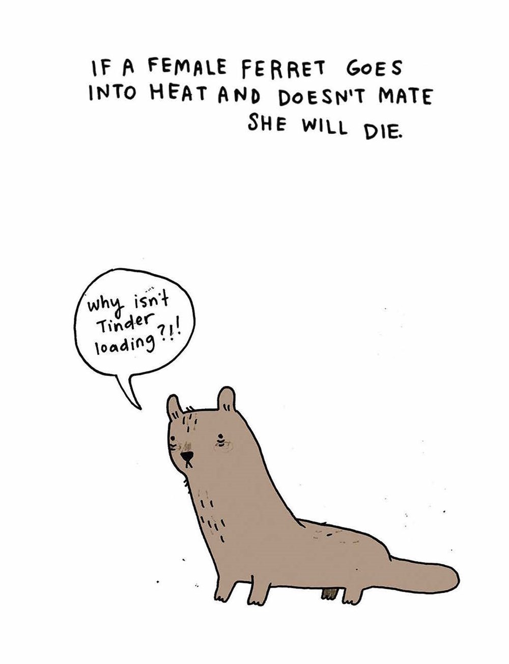 SAD ANIMAL FACTS Makes Us Happy - Macmillan Library SAD ANIMAL FACTS Makes Us Happy - Macmillan Library