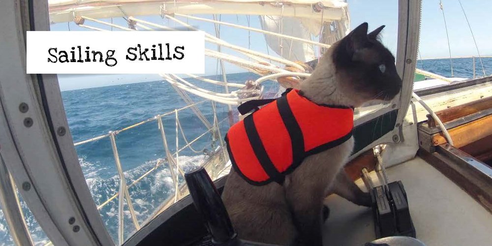 sailing skills